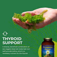 Load image into Gallery viewer, Unlock Your Health with Vitamineral Green - Premium Mineral Supplement for Immune & Thyroid Support - Nutrient-Packed Green Powder, Gluten-Free & Vegan - 500 Grams of Pure Wellness