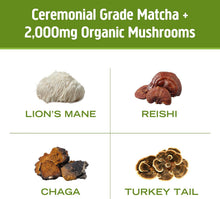 Load image into Gallery viewer, Matcha Latte Blend – Green Tea Mushroom Powder with Lion’S Mane, Reishi, Chaga & Turkey Tail – Focus, Calm & Stress Support – 8.47 Oz Canister (30 Servings)