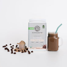Load image into Gallery viewer, Organic Active Protein Vegan Protein Powder, Chocolate Flavor, 4.96 Lbs (45 Servings)