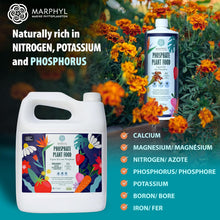 Load image into Gallery viewer, Organic Liquid Phosphate Soil Enhancer – Phosphorus Fertilizer for Root Development & Bloom Support, Ideal for Garden Flowers, Vegetables, Succulents & Hydroponics