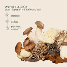 Load image into Gallery viewer, Om Master Blend Mushroom Powder – Organic Mushroom Supplement with 10 Mushrooms and Ashwagandha - Support Immunity, Gut Health &amp; Stress Relief, 3.17 Oz (40 Servings)
