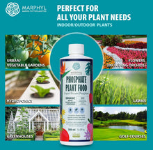 Load image into Gallery viewer, Organic Liquid Phosphate Soil Enhancer – Phosphorus Fertilizer for Root Development &amp; Bloom Support, Ideal for Garden Flowers, Vegetables, Succulents &amp; Hydroponics

