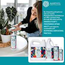 Load image into Gallery viewer, Organic Liquid Phosphate Soil Enhancer – Phosphorus Fertilizer for Root Development &amp; Bloom Support, Ideal for Garden Flowers, Vegetables, Succulents &amp; Hydroponics
