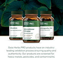 Load image into Gallery viewer, Revitalize Your Gut: Microbiome Cleanse with 60 Vegan Capsules for Optimal Digestive Health
