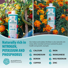 Load image into Gallery viewer, All-Purpose Plant Food – Organic Nutrient-Rich Fertilizer &amp; Soil Enhancer for Indoor &amp; Outdoor Flowers, Vegetables, Succulents, Bamboo &amp; Hydroponics
