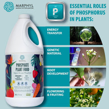 Load image into Gallery viewer, Organic Liquid Phosphate Soil Enhancer – Phosphorus Fertilizer for Root Development &amp; Bloom Support, Ideal for Garden Flowers, Vegetables, Succulents &amp; Hydroponics
